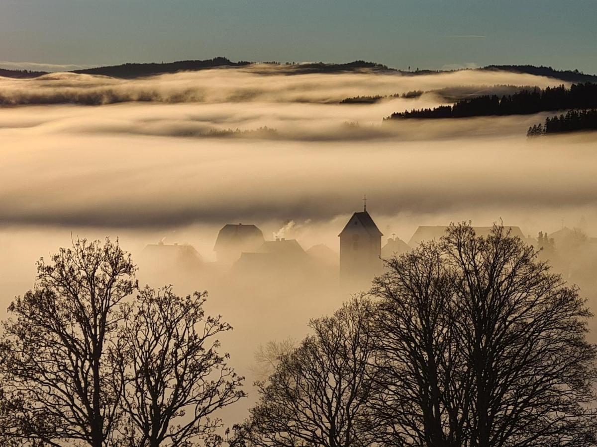 Jufa Hotel Schwarzwald Lenzkirch Exteriör bild